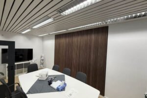 Paneele (1) Paneele (1)